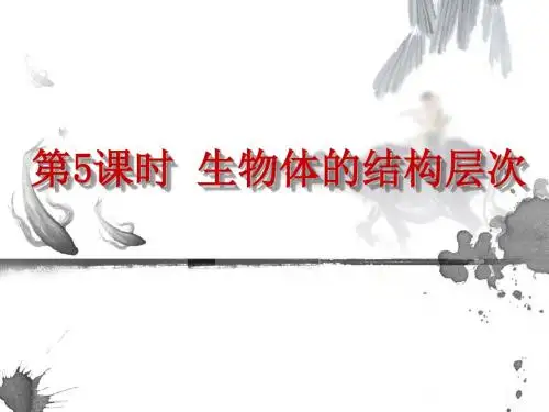 【初中生物】生物体的结构层次PPT课件20