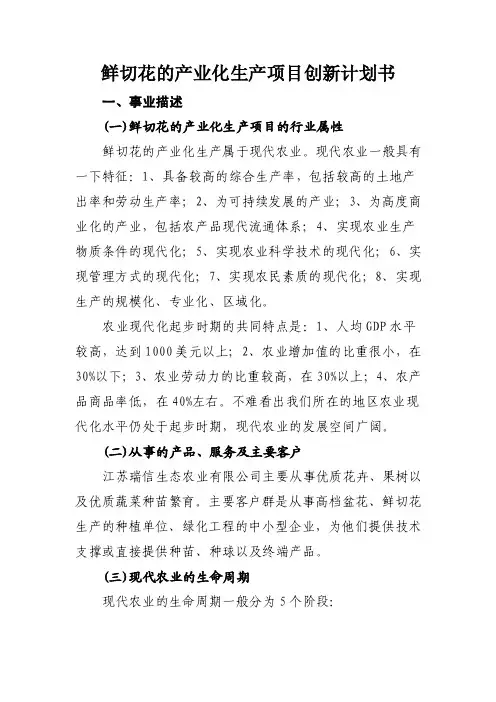 切花创业计划书