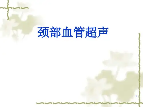 2024年颈部血管超声PPT课件