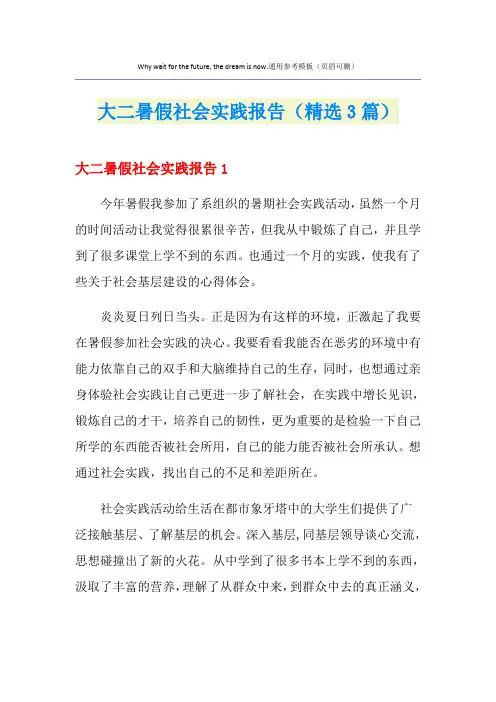 大二暑假社会实践报告(精选3篇)