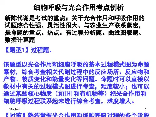 光合作用和细胞呼吸10个例题分析
