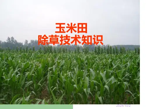 除草技术专业知识讲座