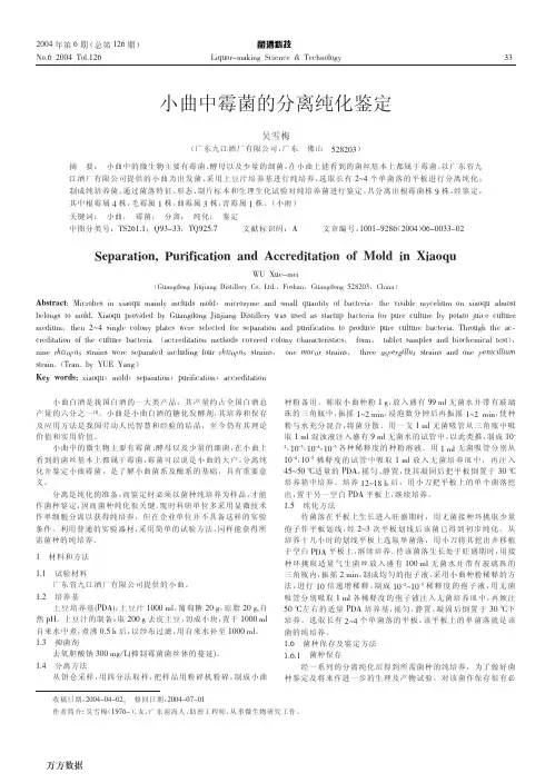 小曲中霉菌的分离纯化鉴定