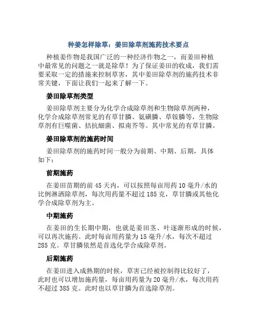 种姜怎样除草姜田除草剂施药技术要点