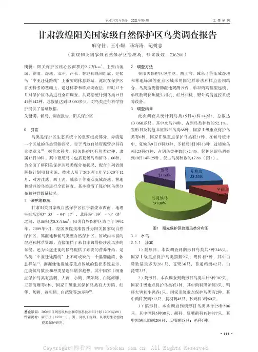 甘肃敦煌阳关国家级自然保护区鸟类调查报告