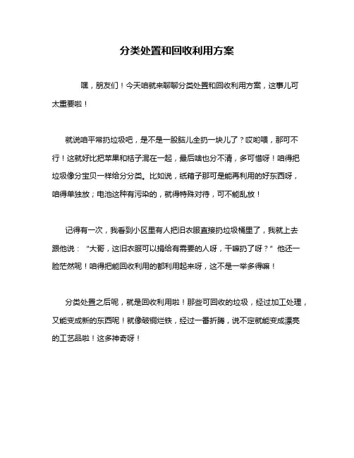分类处置和回收利用方案