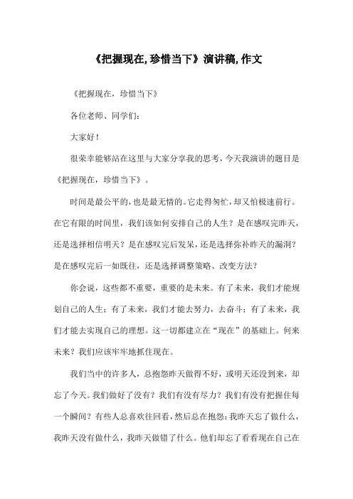 《把握现在,珍惜当下》演讲稿,作文