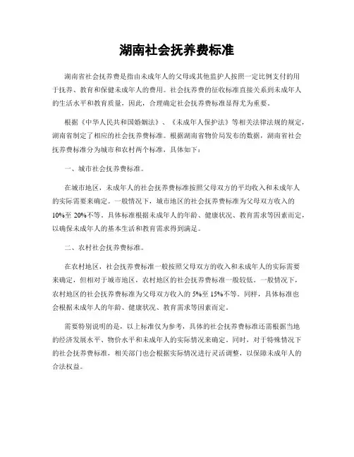 湖南社会抚养费标准