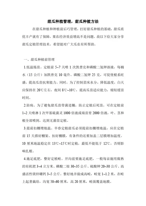 甜瓜种植管理,甜瓜种植方法.doc