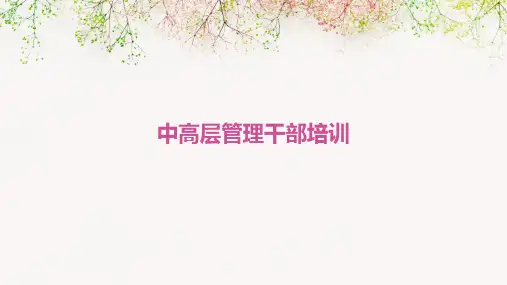 中高层管理干部培训