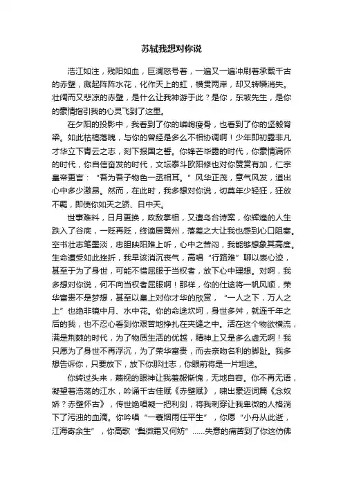 苏轼我想对你说