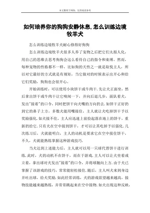 如何培养你的狗狗安静休息,怎么训练边境牧羊犬