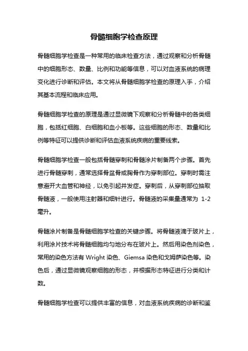 骨髓细胞学检查原理