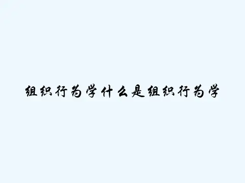组织行为学什么是组织行为学-PPT