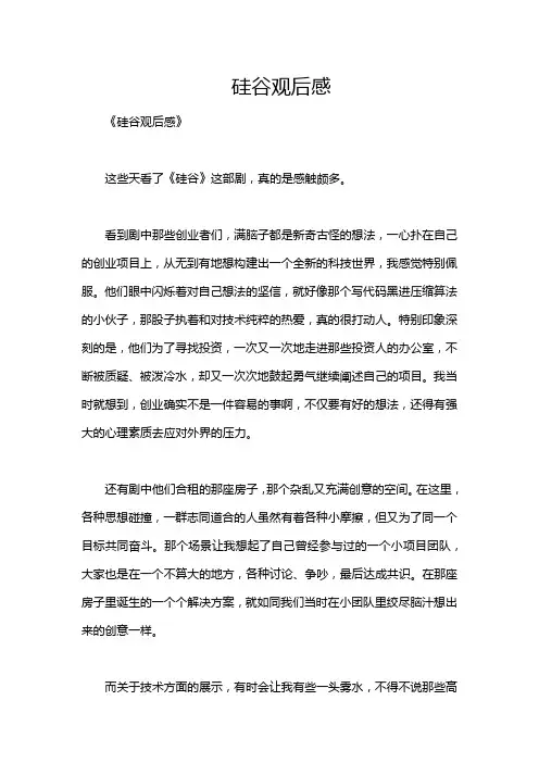 硅谷观后感