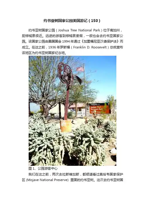 约书亚树国家公园美国游记（150）