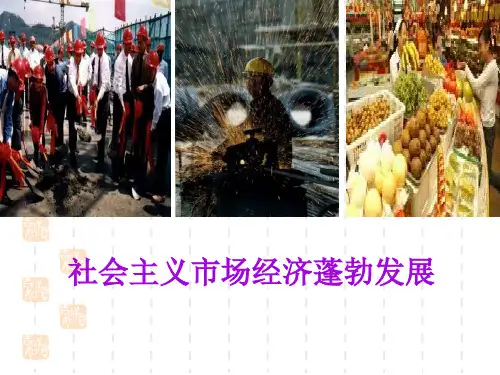 市场配置资源PPT课件