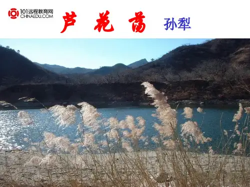 人教新课标版初中八上《芦花荡》第二课时课件