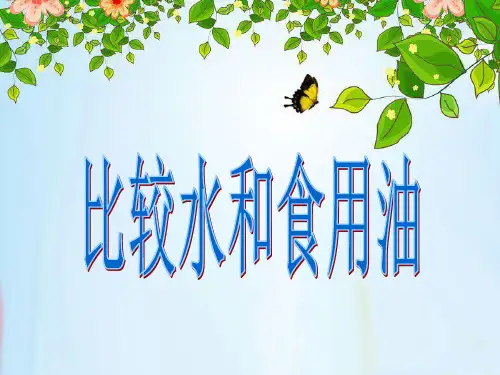 教科版《水和食用油的比较》PPT课件2