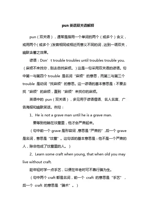 pun英语双关语解释