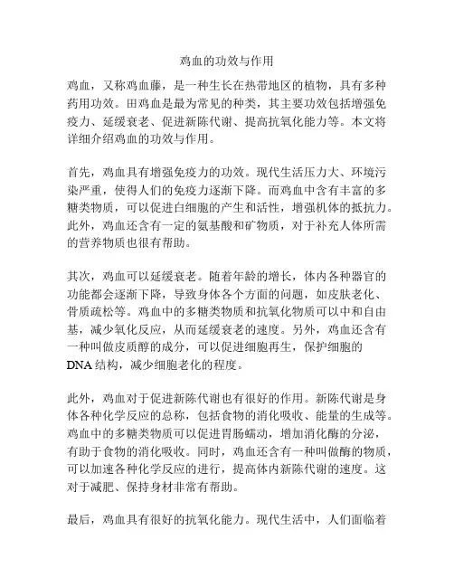 鸡血的功效与作用