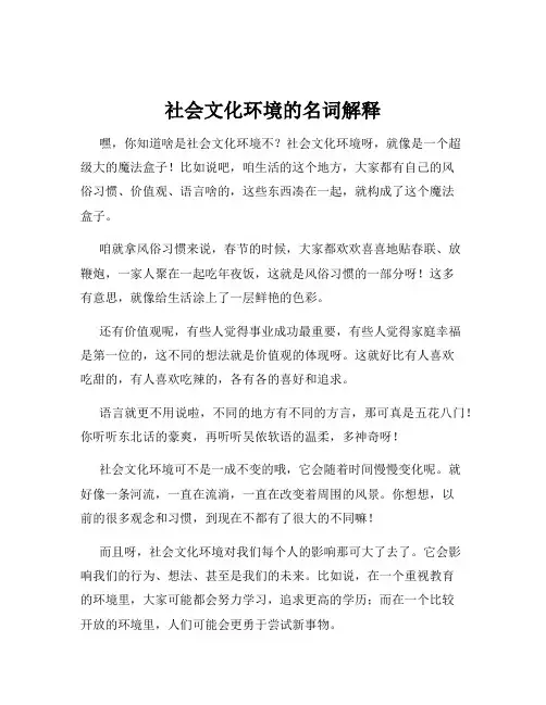 社会文化环境的名词解释