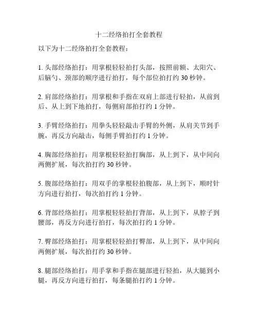 十二经络拍打全套教程