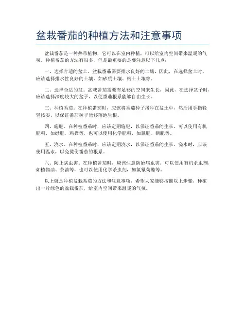 盆栽番茄的种植方法和注意事项