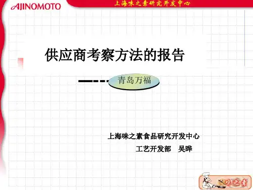 供应商考察方法的报告PPT(13张)