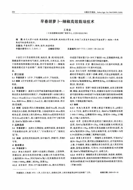 早春胡萝卜-辣椒高效栽培技术