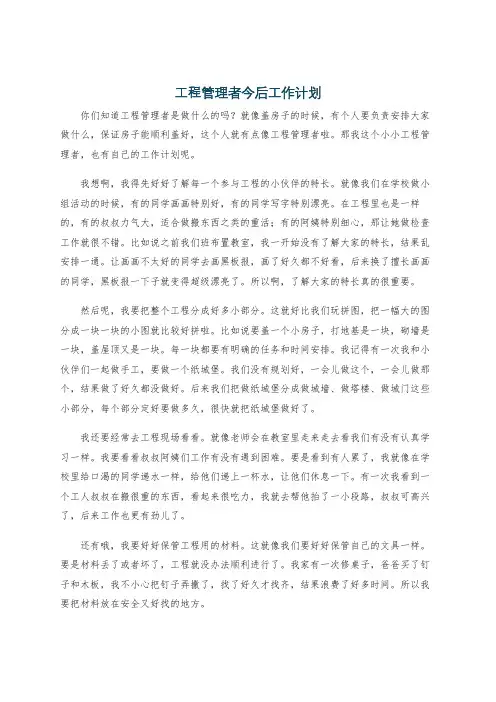 工程管理者今后工作计划
