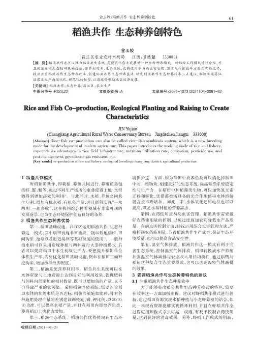 稻渔共作 生态种养创特色