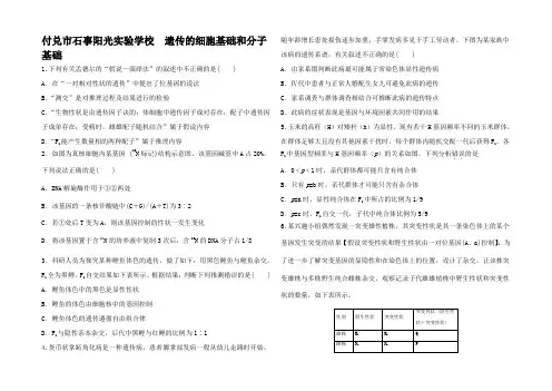 高三生物一轮复习 寒假作业7六 遗传的细胞基础和分子基础