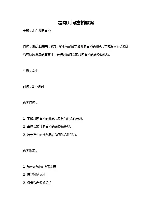 走向共同富裕教案