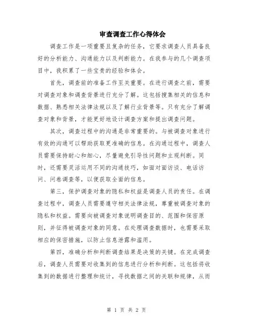 审查调查工作心得体会