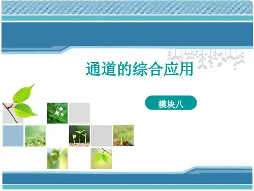 《photoshop》课件——模块8  通道的综合应用