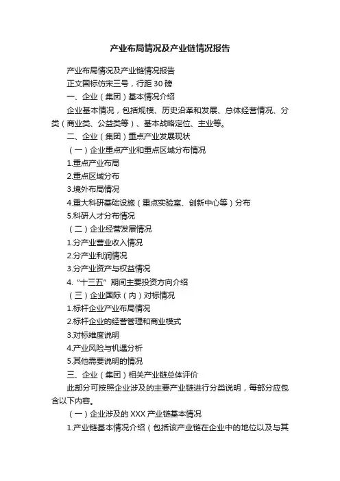 产业布局情况及产业链情况报告