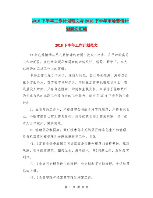 2018下半年工作计划范文与2018下半年市场营销计划新选汇编