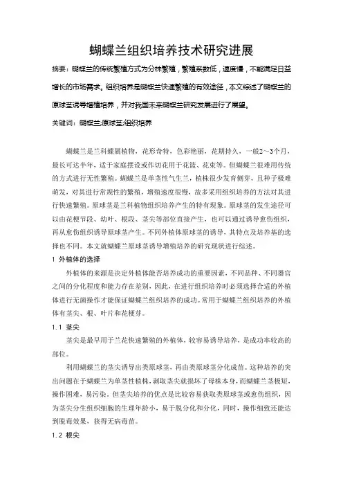 蝴蝶兰组织培养技术研究进展