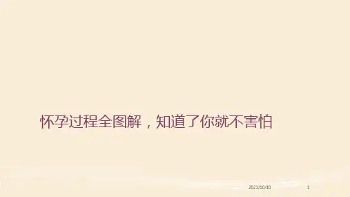 怀孕过程全图解,知道了你!