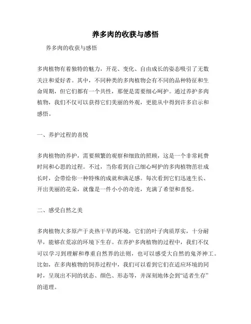 养多肉的收获与感悟