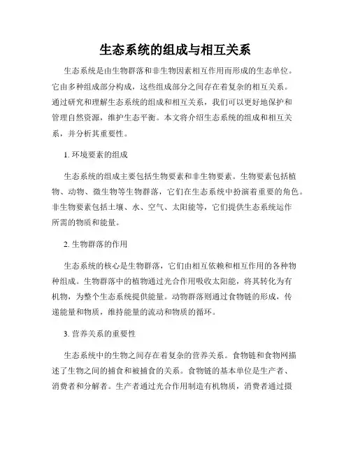 生态系统的组成与相互关系