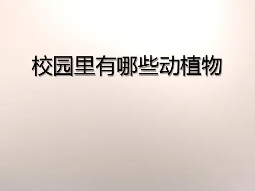 《校园里有哪些动植物》寻访校园里的动植物.PPT(新版本)