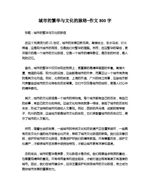 城市的繁华与文化的脉络-作文800字