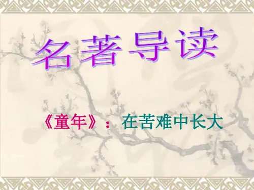 《童年》名著导读