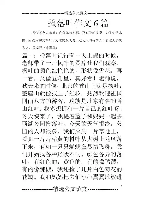 捡落叶作文6篇
