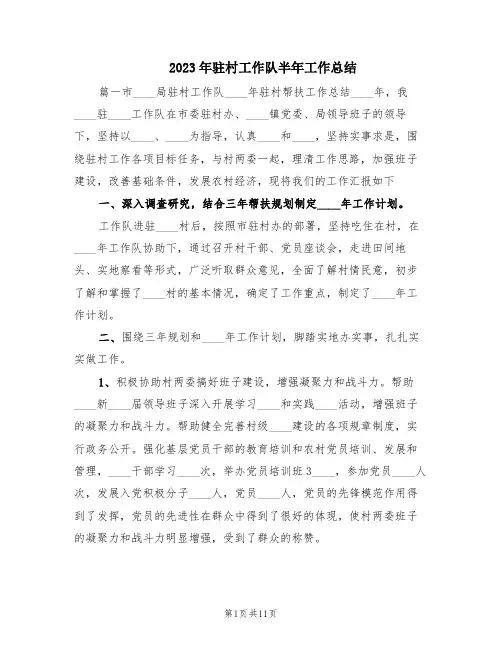 2023年驻村工作队半年工作总结(4篇)