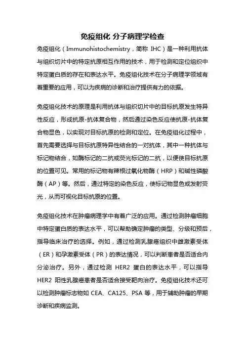 免疫组化 分子病理学检查