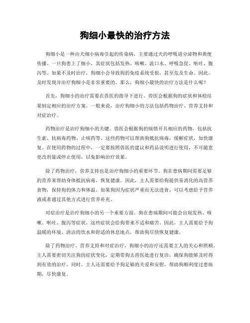 狗细小最快的治疗方法