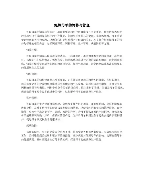 妊娠母羊的饲养与管理